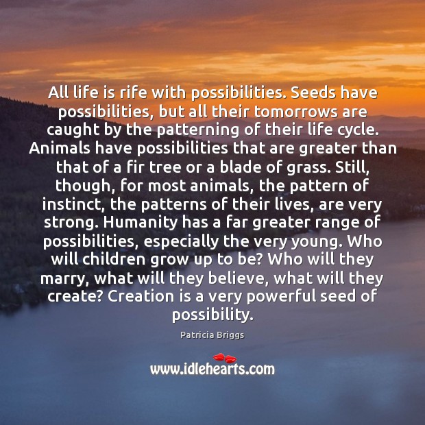 All life is rife with possibilities. Seeds have possibilities, but all their Image
