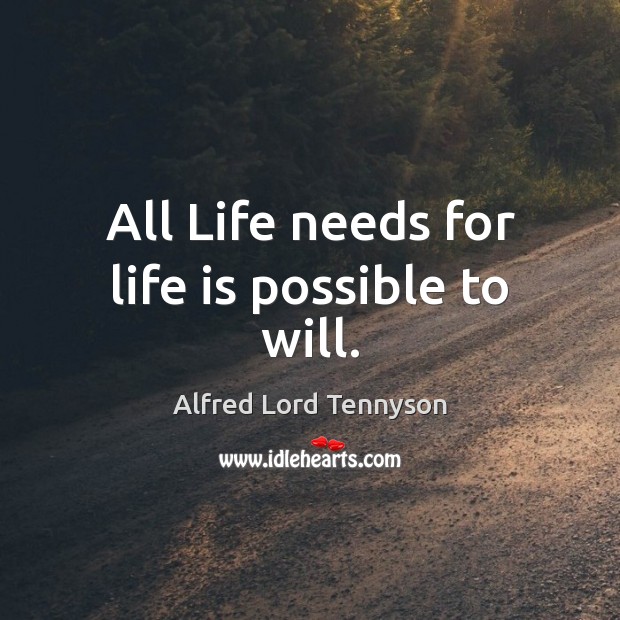 All Life needs for life is possible to will. Image