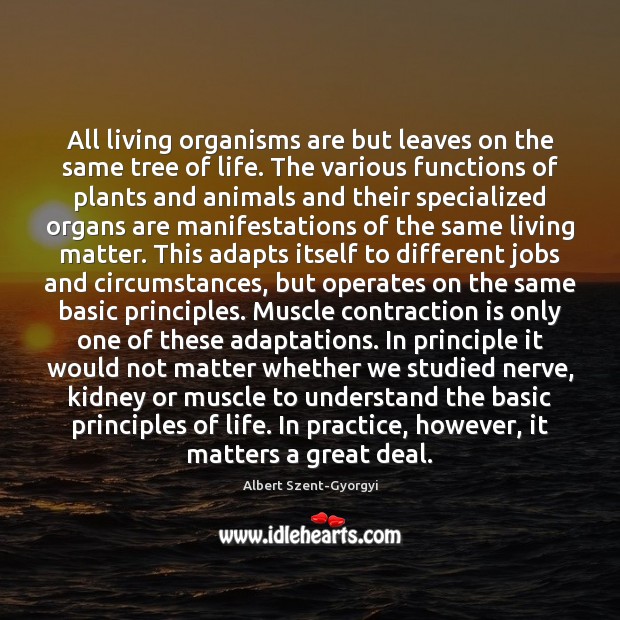 All living organisms are but leaves on the same tree of life. Albert Szent-Gyorgyi Picture Quote