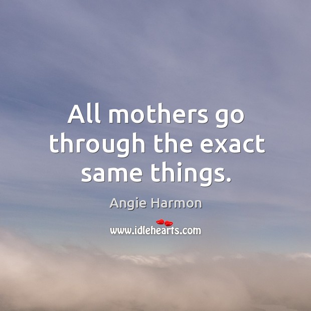 All mothers go through the exact same things. Angie Harmon Picture Quote