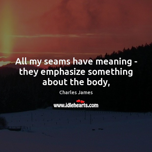 All my seams have meaning – they emphasize something about the body, Charles James Picture Quote