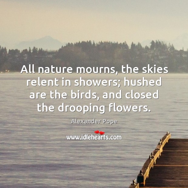 All nature mourns, the skies relent in showers; hushed are the birds, Alexander Pope Picture Quote