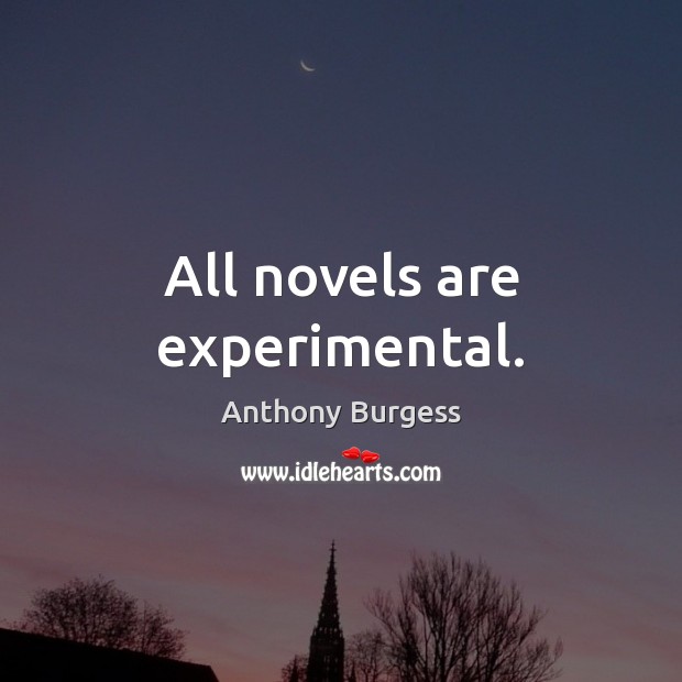 All novels are experimental. Image