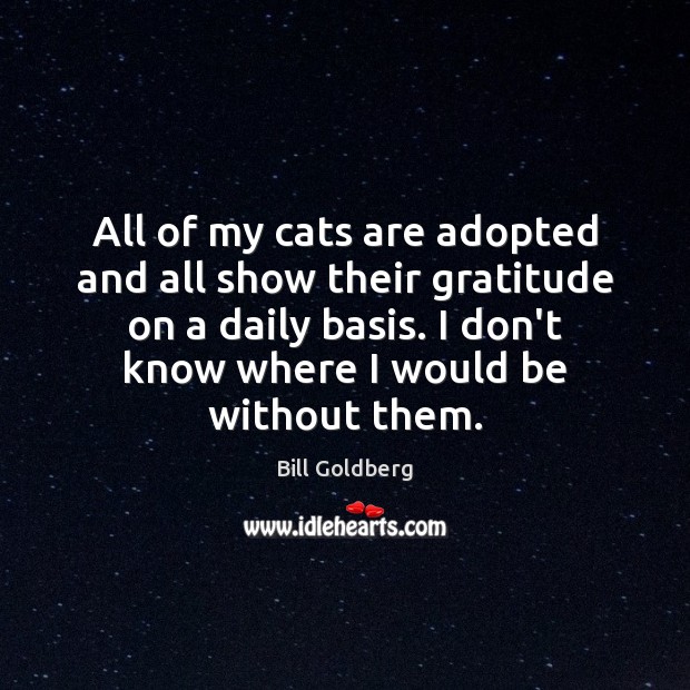 All of my cats are adopted and all show their gratitude on Bill Goldberg Picture Quote