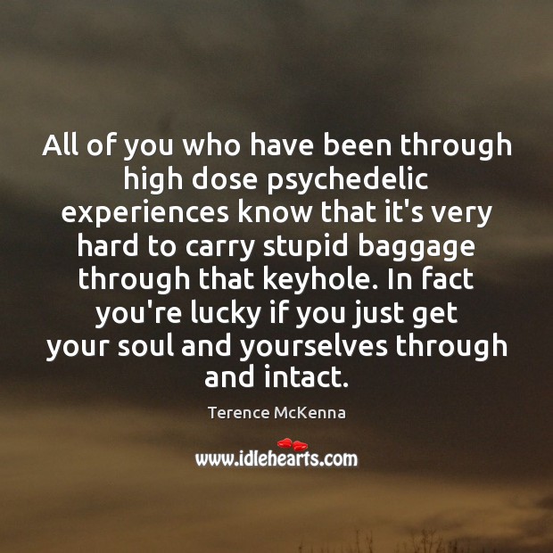 All of you who have been through high dose psychedelic experiences know Terence McKenna Picture Quote