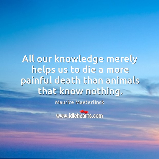 All our knowledge merely helps us to die a more painful death than animals that know nothing. Maurice Maeterlinck Picture Quote
