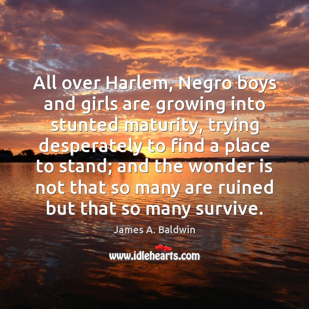 All over Harlem, Negro boys and girls are growing into stunted maturity, James A. Baldwin Picture Quote