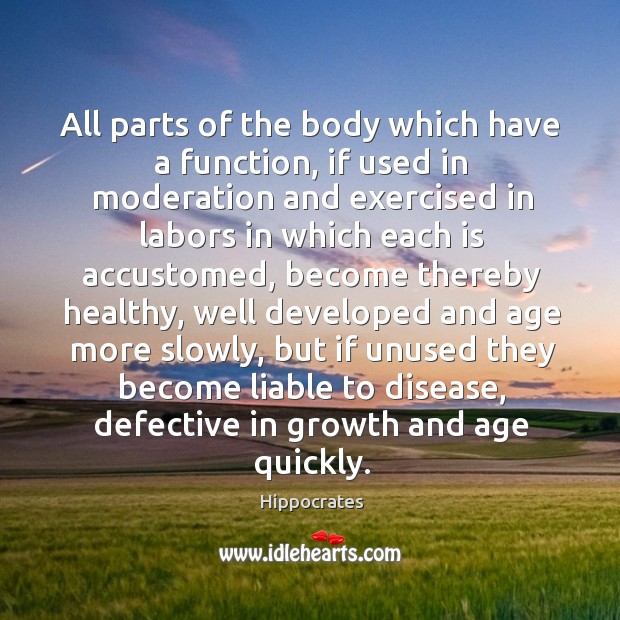 All parts of the body which have a function, if used in Hippocrates Picture Quote