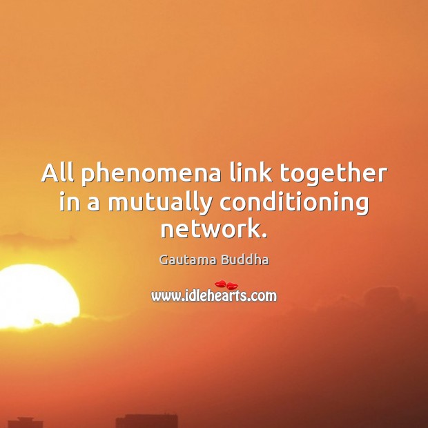 All phenomena link together in a mutually conditioning network. Gautama Buddha Picture Quote