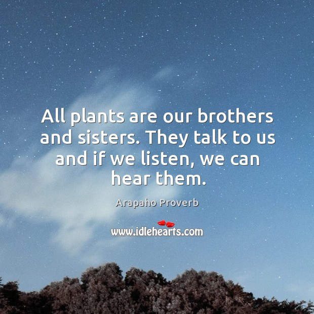 All plants are our brothers and sisters. Arapaho Proverbs Image