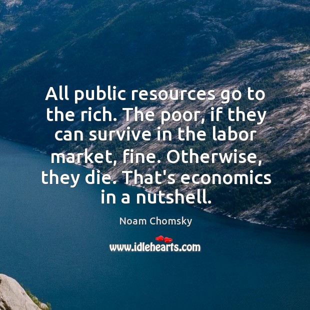 All public resources go to the rich. The poor, if they can Noam Chomsky Picture Quote