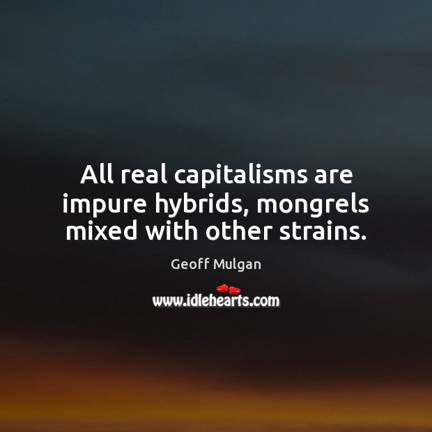 All real capitalisms are impure hybrids, mongrels mixed with other strains. Geoff Mulgan Picture Quote