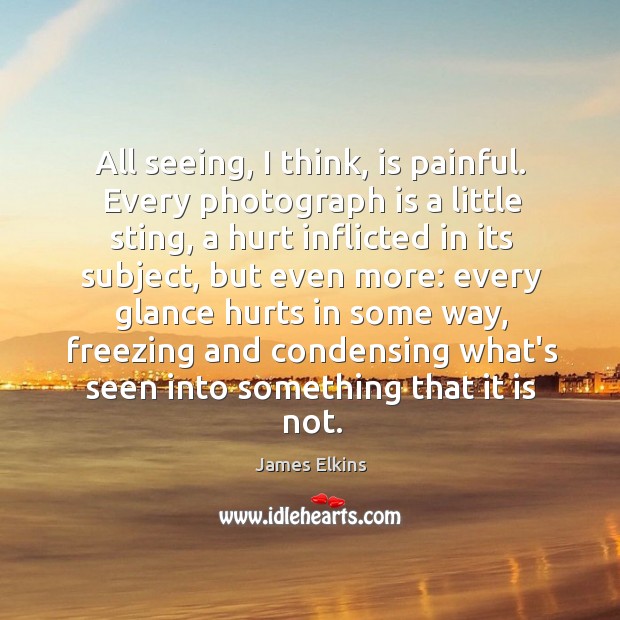 All seeing, I think, is painful. Every photograph is a little sting, James Elkins Picture Quote