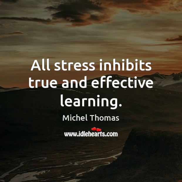 All stress inhibits true and effective learning. Michel Thomas Picture Quote