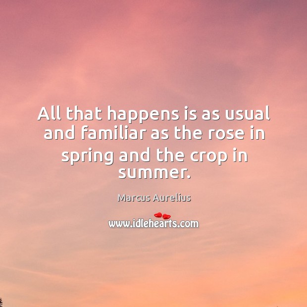 All that happens is as usual and familiar as the rose in spring and the crop in summer. Image
