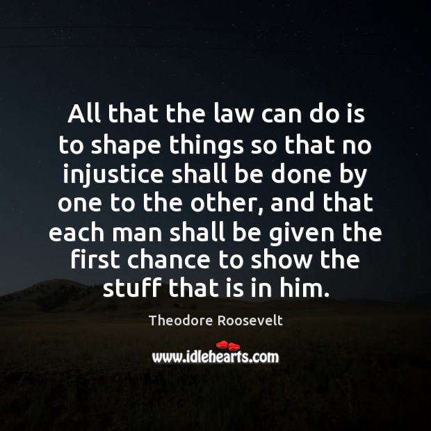 All that the law can do is to shape things so that Theodore Roosevelt Picture Quote