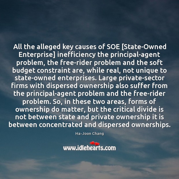 All the alleged key causes of SOE [State-Owned Enterprise] inefficiency the principal-agent Image