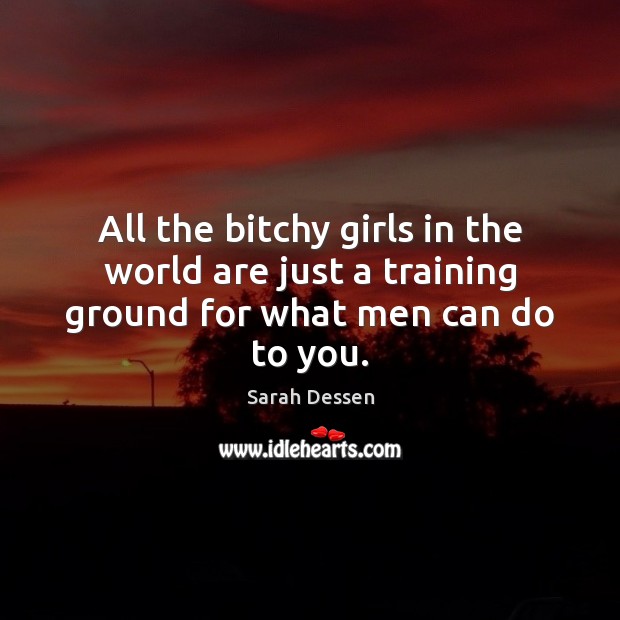 All the bitchy girls in the world are just a training ground for what men can do to you. Sarah Dessen Picture Quote