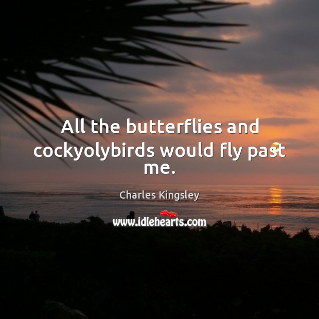 All the butterflies and cockyolybirds would fly past me. Charles Kingsley Picture Quote
