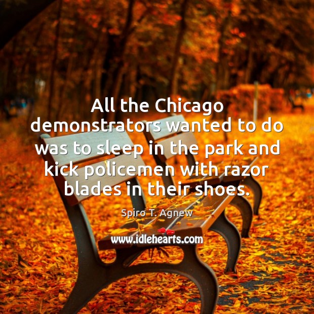 All the Chicago demonstrators wanted to do was to sleep in the Spiro T. Agnew Picture Quote