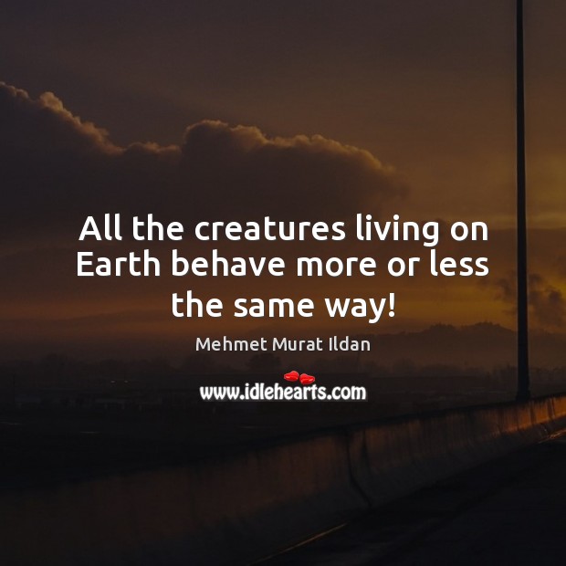All the creatures living on Earth behave more or less the same way! Image