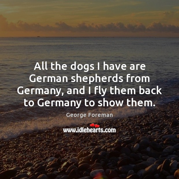 All the dogs I have are German shepherds from Germany, and I George Foreman Picture Quote