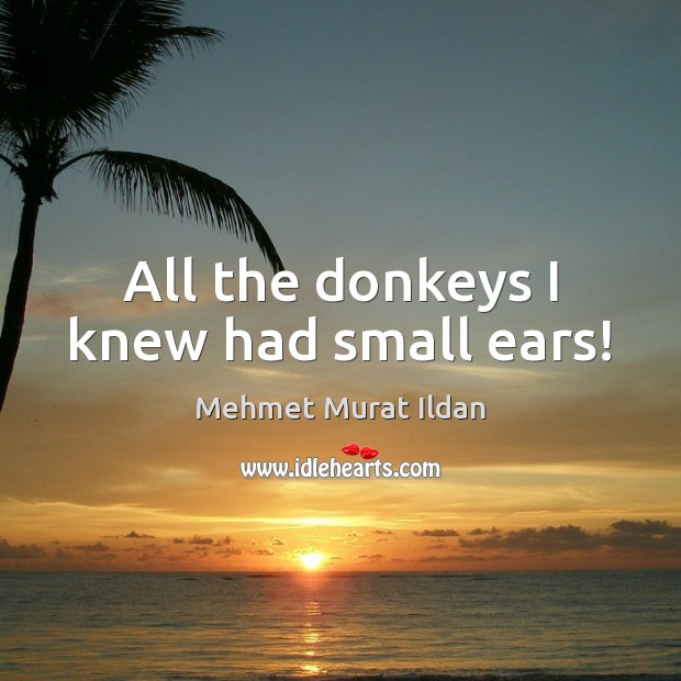 All the donkeys I knew had small ears! Image