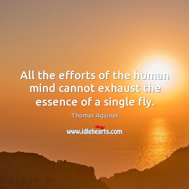 All the efforts of the human mind cannot exhaust the essence of a single fly. Thomas Aquinas Picture Quote