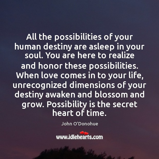All the possibilities of your human destiny are asleep in your soul. John O’Donohue Picture Quote