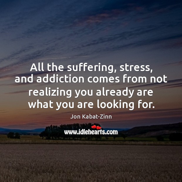 All the suffering, stress, and addiction comes from not realizing you already Jon Kabat-Zinn Picture Quote