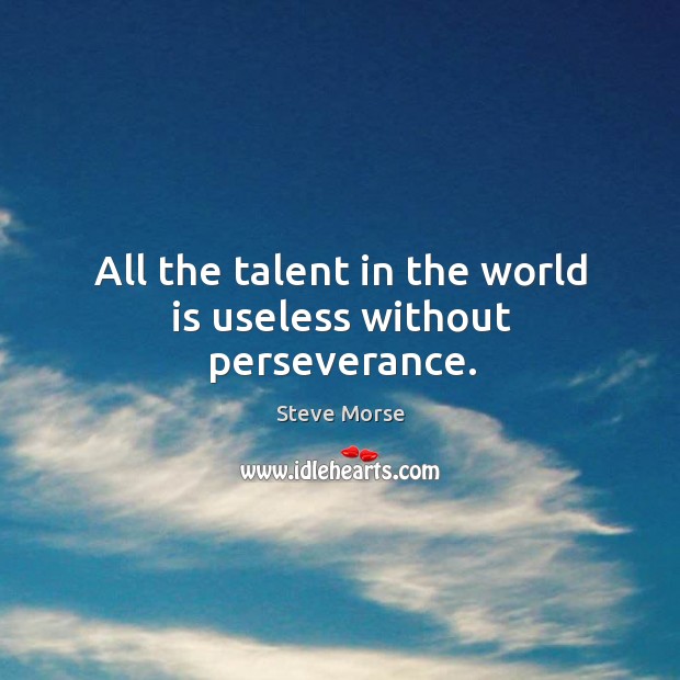 All the talent in the world is useless without perseverance. Steve Morse Picture Quote