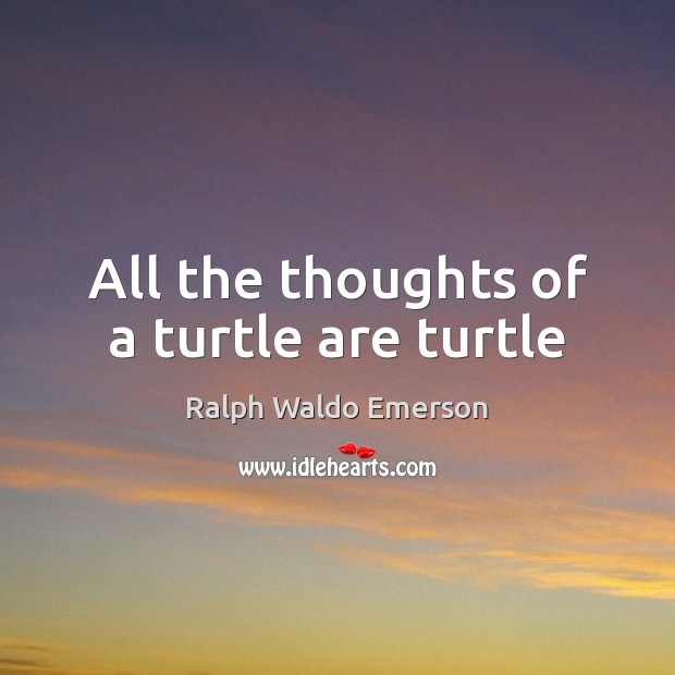 All the thoughts of a turtle are turtle Image