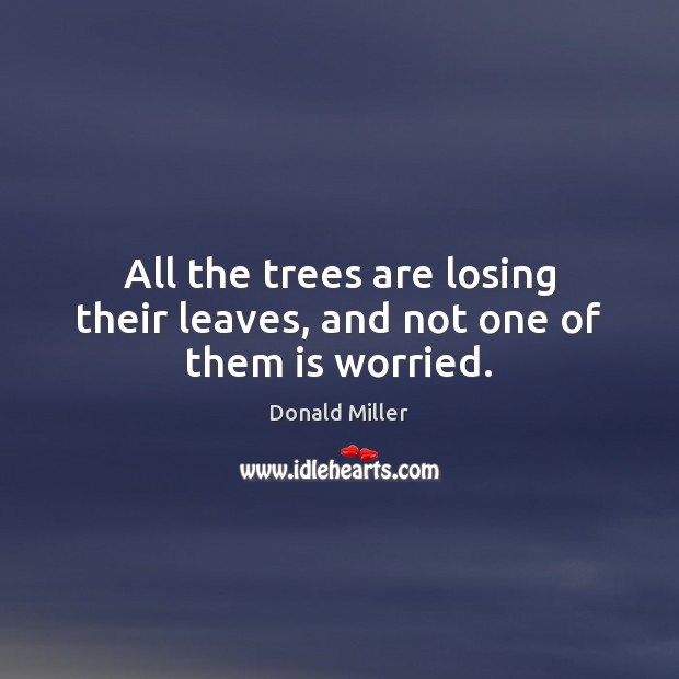 All the trees are losing their leaves, and not one of them is worried. Donald Miller Picture Quote
