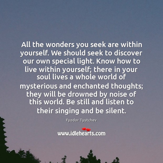 All the wonders you seek are within yourself. We should seek to Image