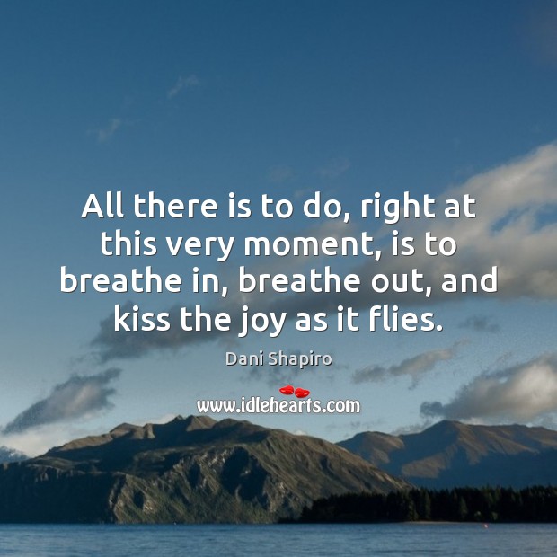 All there is to do, right at this very moment, is to Dani Shapiro Picture Quote