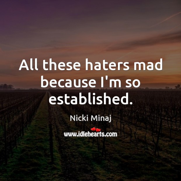 All these haters mad because I’m so established. Nicki Minaj Picture Quote
