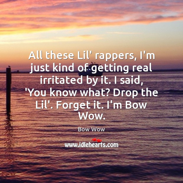 All these Lil’ rappers, I’m just kind of getting real irritated by Bow Wow Picture Quote