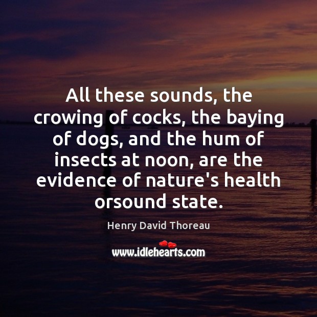 All these sounds, the crowing of cocks, the baying of dogs, and Henry David Thoreau Picture Quote