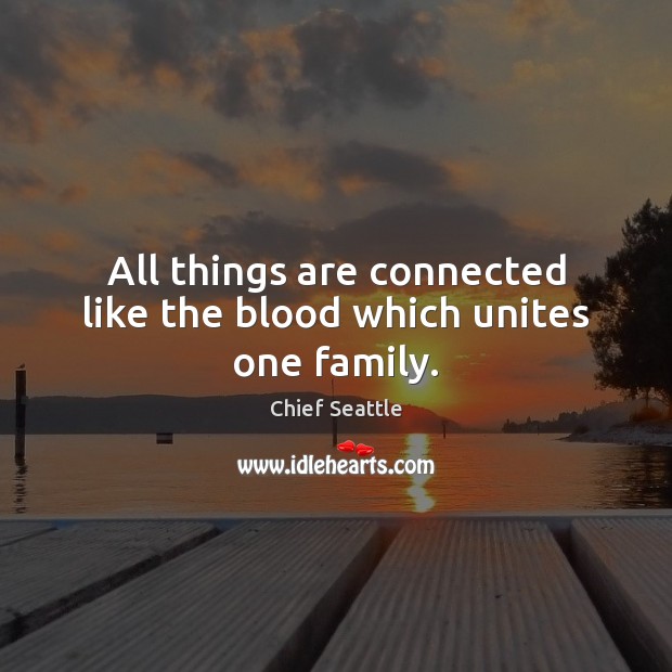 All things are connected like the blood which unites one family. Chief Seattle Picture Quote