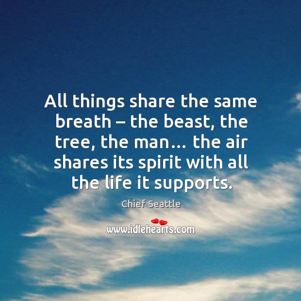 All things share the same breath – the beast, the tree, the man… the air shares its spirit with all the life it supports. Chief Seattle Picture Quote