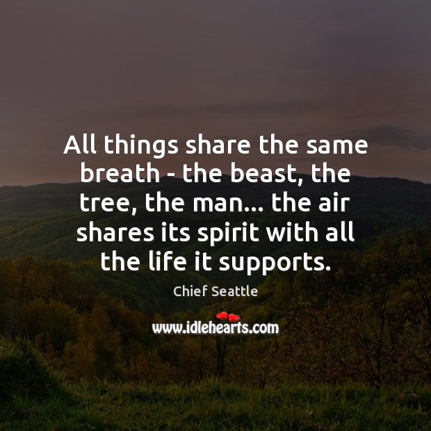 All things share the same breath – the beast, the tree, the Chief Seattle Picture Quote