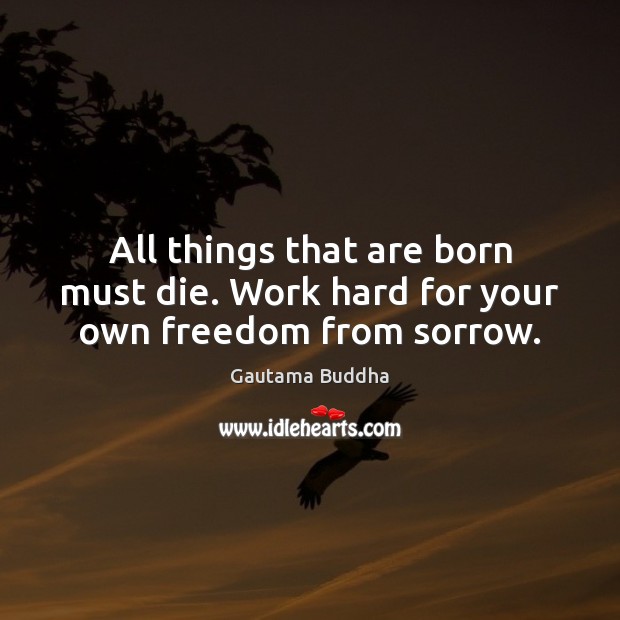 All things that are born must die. Work hard for your own freedom from sorrow. Gautama Buddha Picture Quote