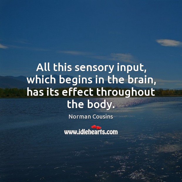 All this sensory input, which begins in the brain, has its effect throughout the body. Norman Cousins Picture Quote