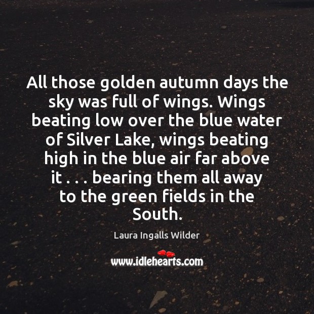 All those golden autumn days the sky was full of wings. Wings Laura Ingalls Wilder Picture Quote