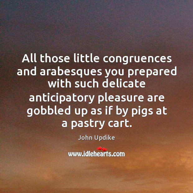 All those little congruences and arabesques you prepared with such delicate anticipatory John Updike Picture Quote