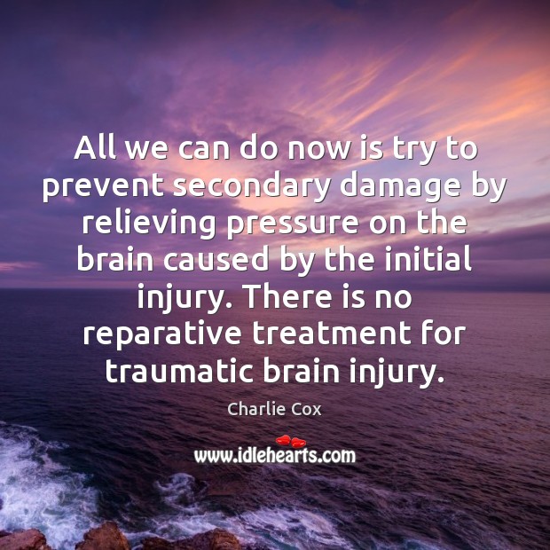 All we can do now is try to prevent secondary damage by Charlie Cox Picture Quote