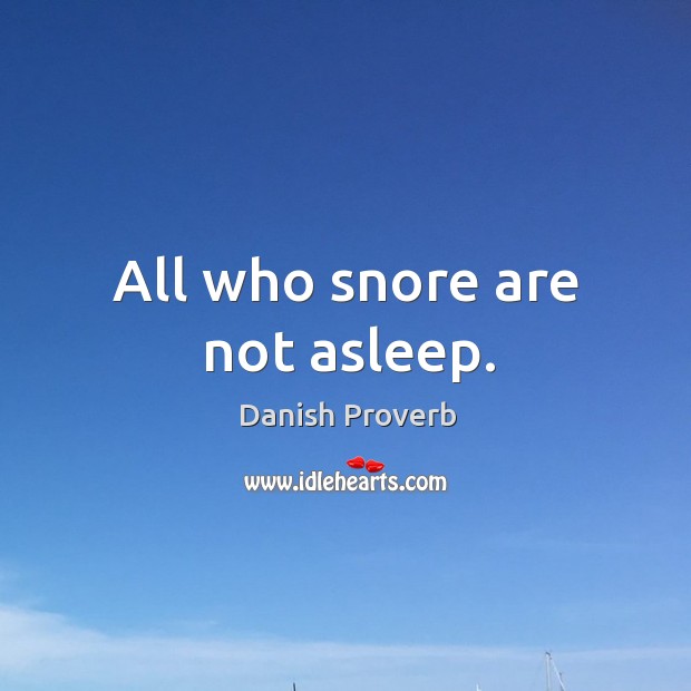 All who snore are not asleep. Danish Proverbs Image