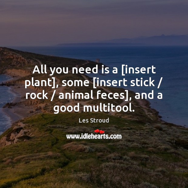 All you need is a [insert plant], some [insert stick / rock / animal Image