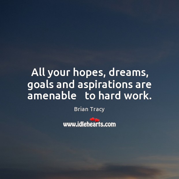 All your hopes, dreams, goals and aspirations are amenable   to hard work. Brian Tracy Picture Quote