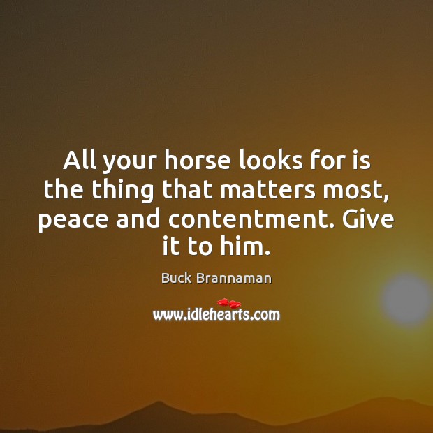 All your horse looks for is the thing that matters most, peace Buck Brannaman Picture Quote